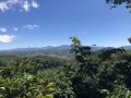morepic-1