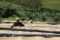 morepic-2