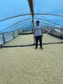 morepic-2