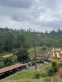 morepic-3